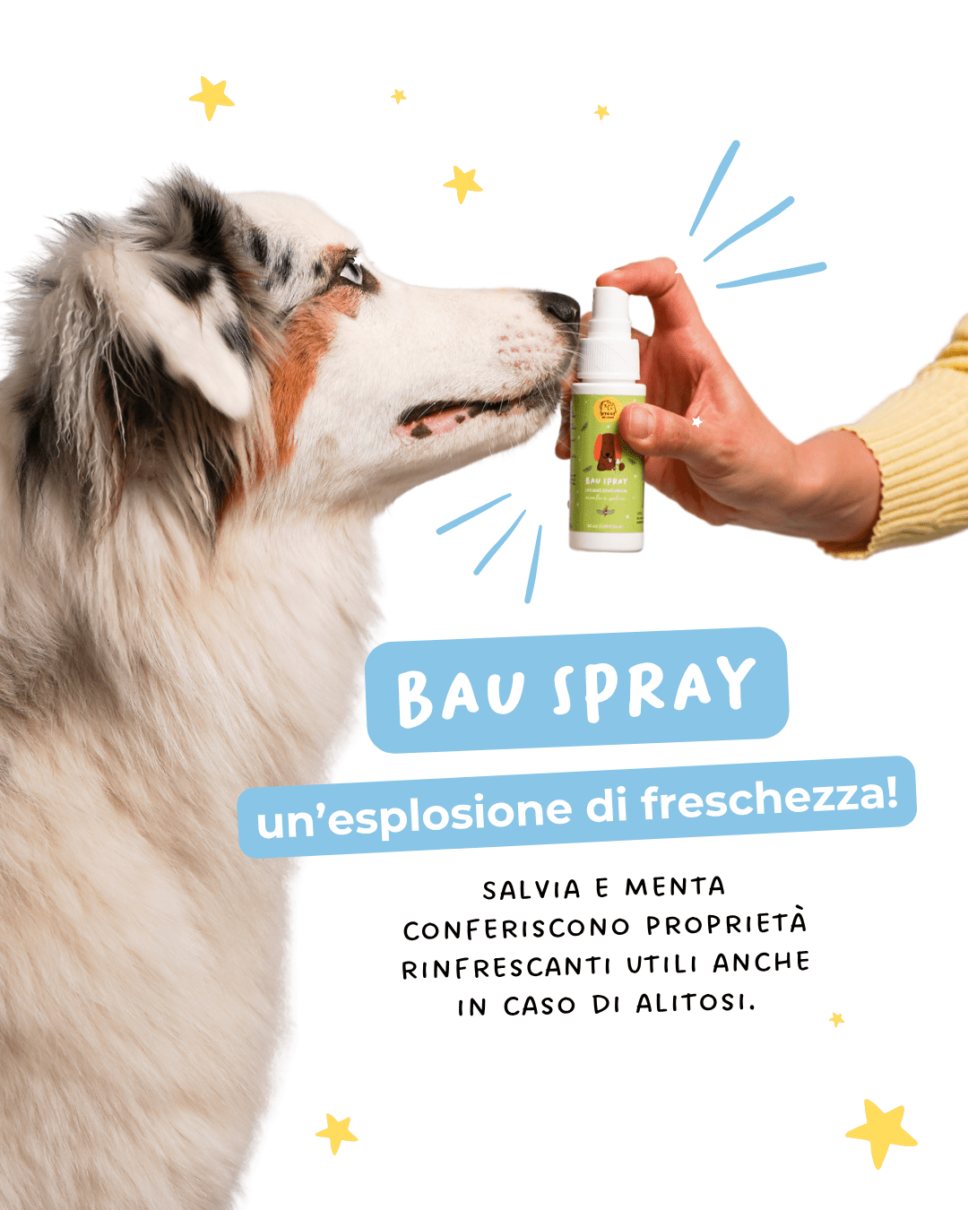 Bau Spray - Masticativi e Dental Cane - Hygge Pet Food