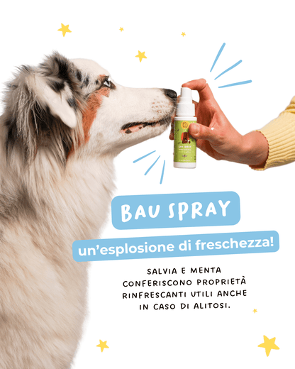 Bau Spray - Masticativi e Dental Cane - Hygge Pet Food