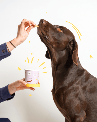 Biscotti alla carrube "Carrubini" - Snack e Biscotti Cane - Hygge Pet Food