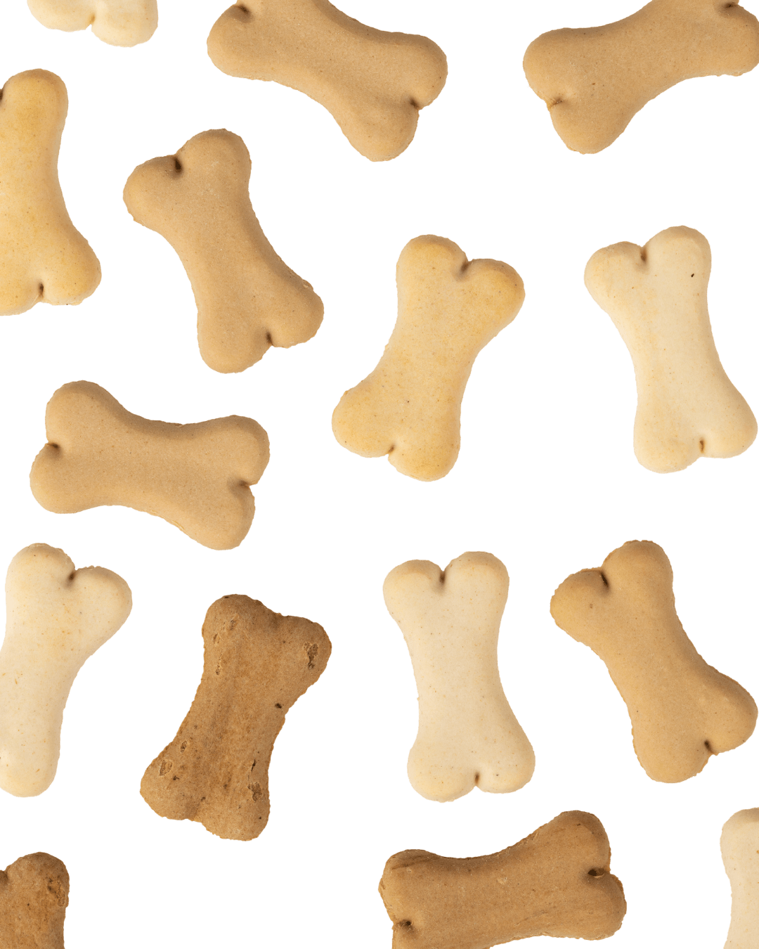 Biscotti del Buongiorno - Snack e Biscotti Cane - Hygge Pet Food