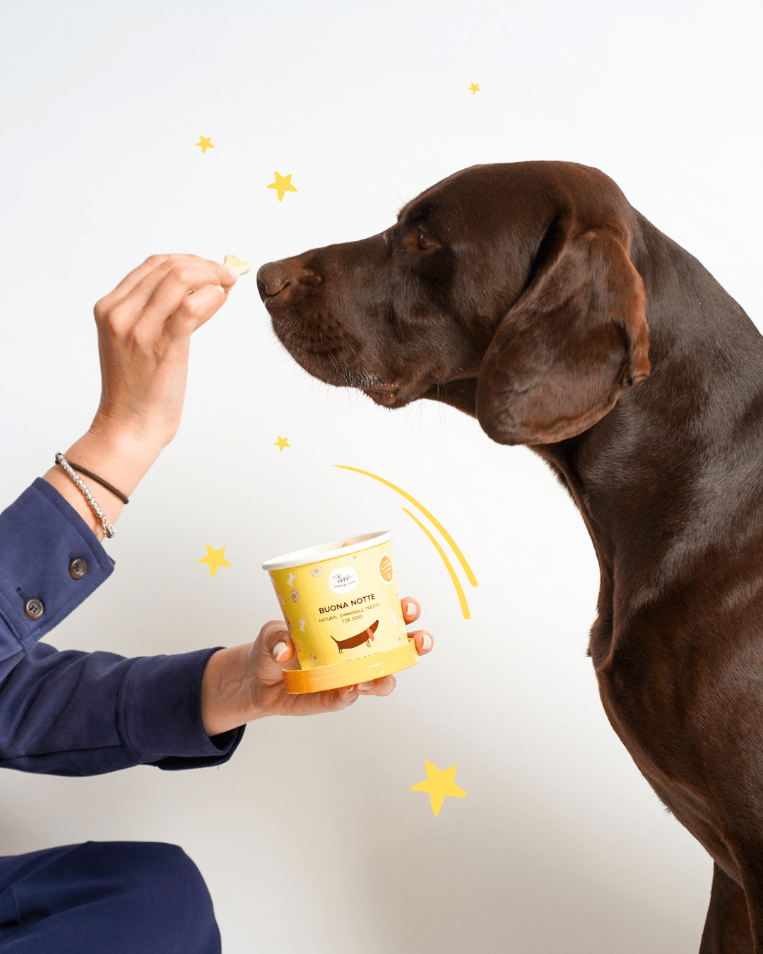 Biscotti della Buonanotte - Snack e Biscotti Cane - Hygge Pet Food