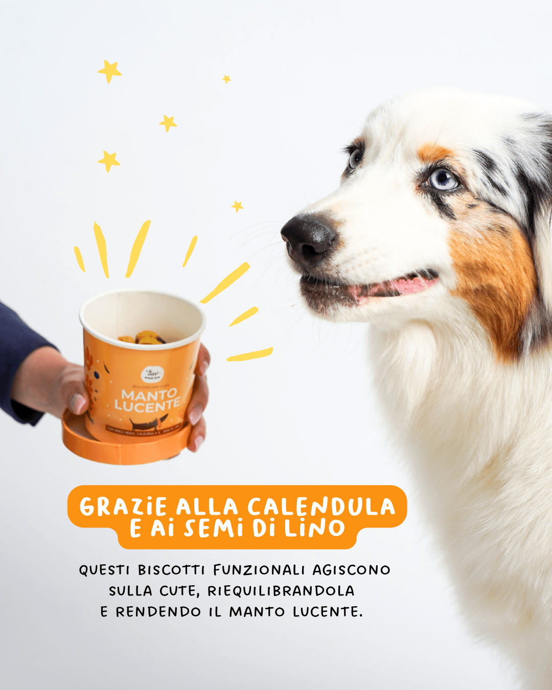 Biscotti Manto Lucente - Snack e Biscotti Cane - Hygge Pet Food