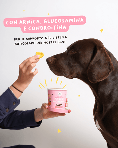 Biscotti Ossa e Mobilità - Snack e Biscotti Cane - Hygge Pet Food