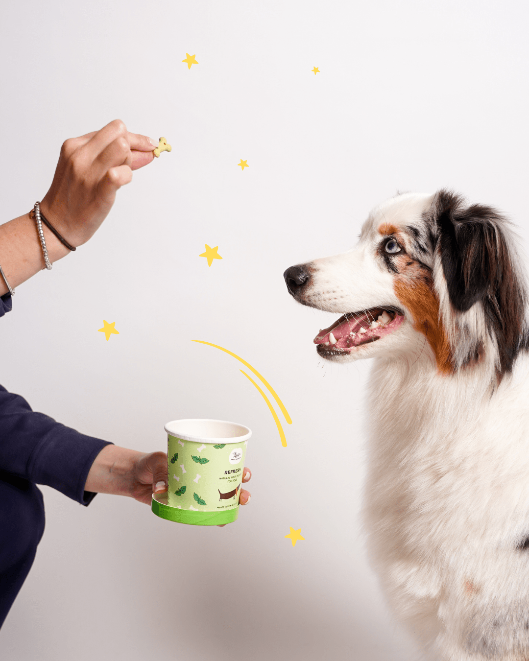 Biscotti Refresh - Snack e Biscotti Cane - Hygge Pet Food