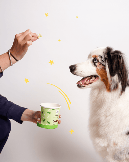 Biscotti Refresh - Snack e Biscotti Cane - Hygge Pet Food