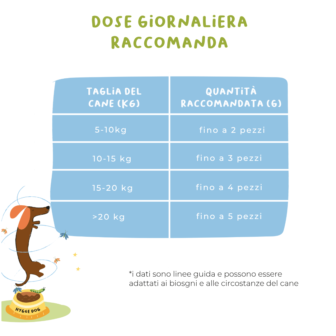Biscotti semi - umidi Stay Energico - Snack e Biscotti Cane - Hygge Pet Food