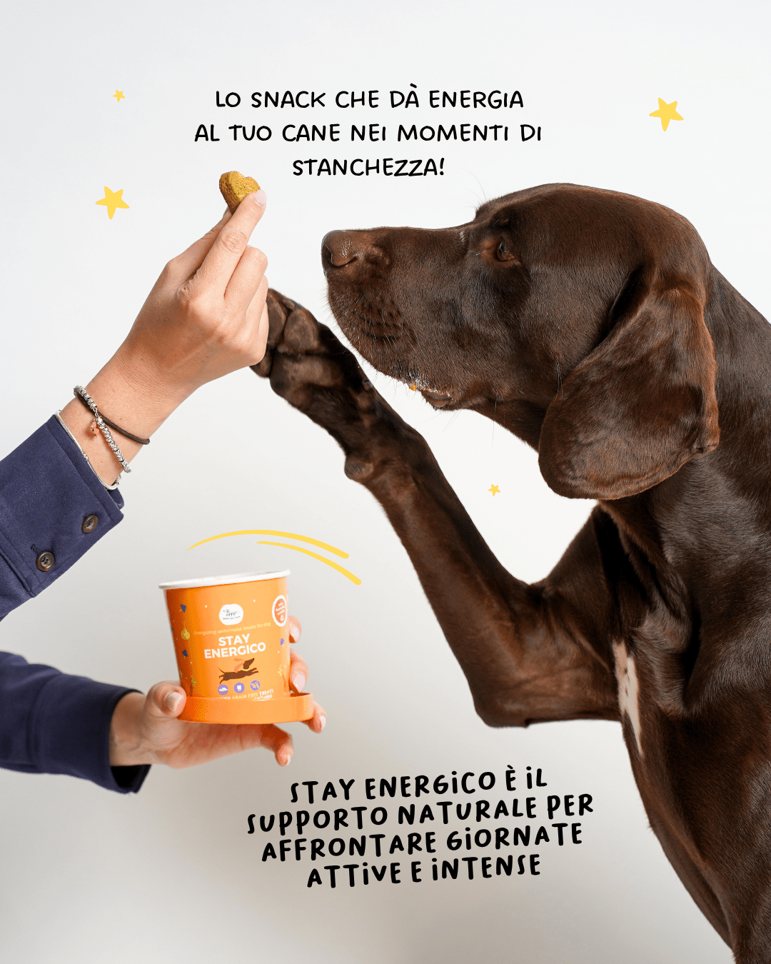 Biscotti semi - umidi Stay Energico - Snack e Biscotti Cane - Hygge Pet Food