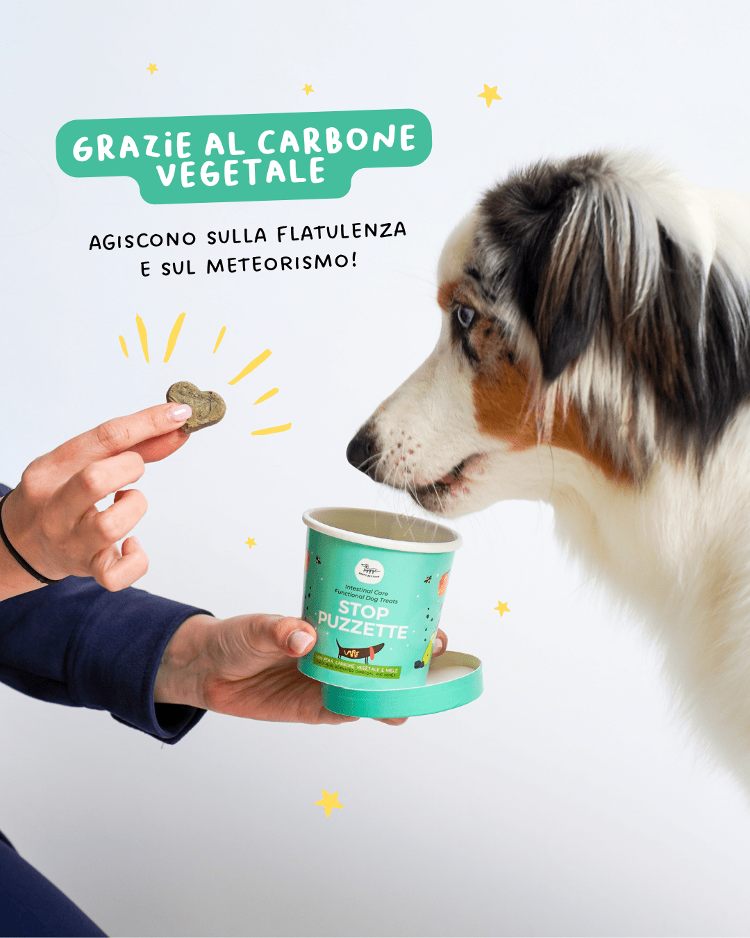 Biscotti Stop Puzzette - Snack e Biscotti Cane - Hygge Pet Food