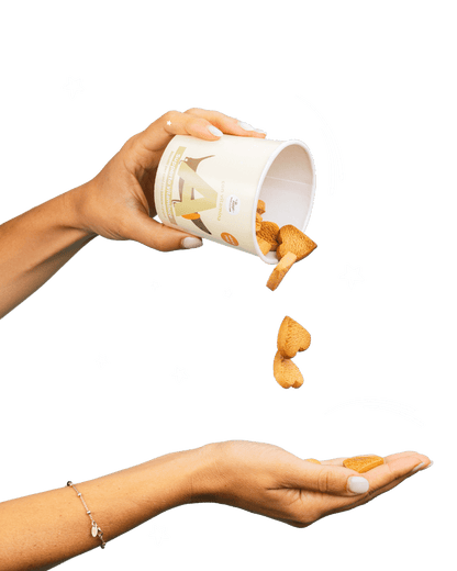 Biscotto grain free con Vitamina A - Snack e Biscotti Cane - Hygge Pet Food