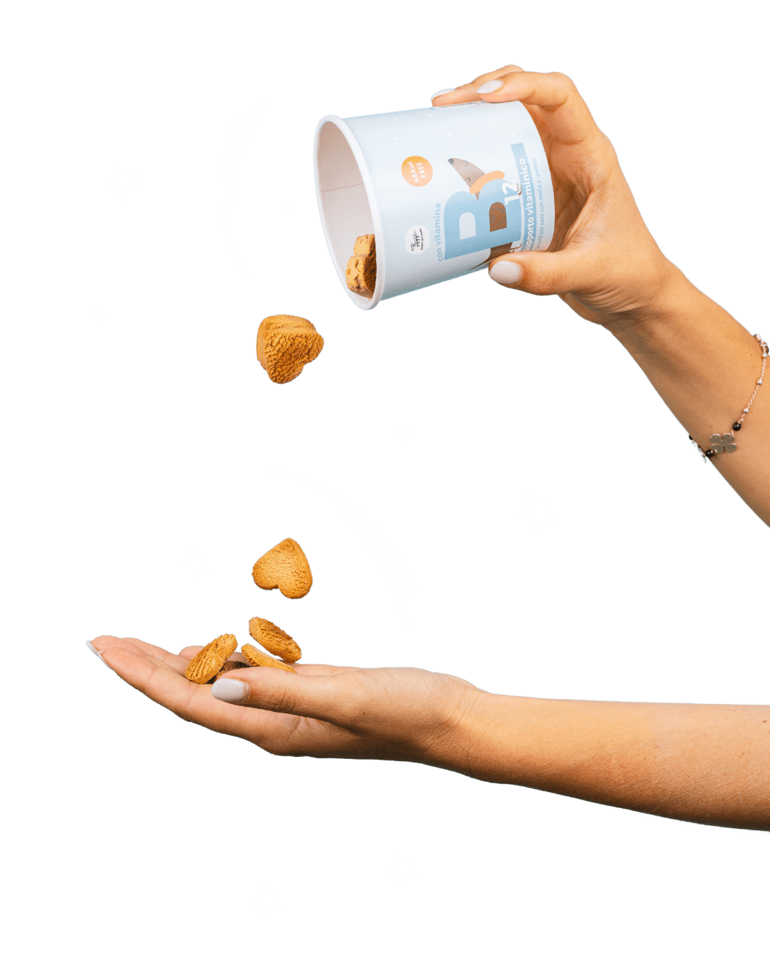 Biscotto grain free con Vitamina B12 - Snack e Biscotti Cane - Hygge Pet Food