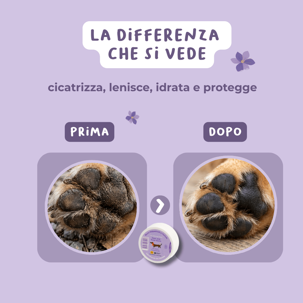 Burro Polpastrelli e Tartufo - cosmetica - Hygge Pet Food