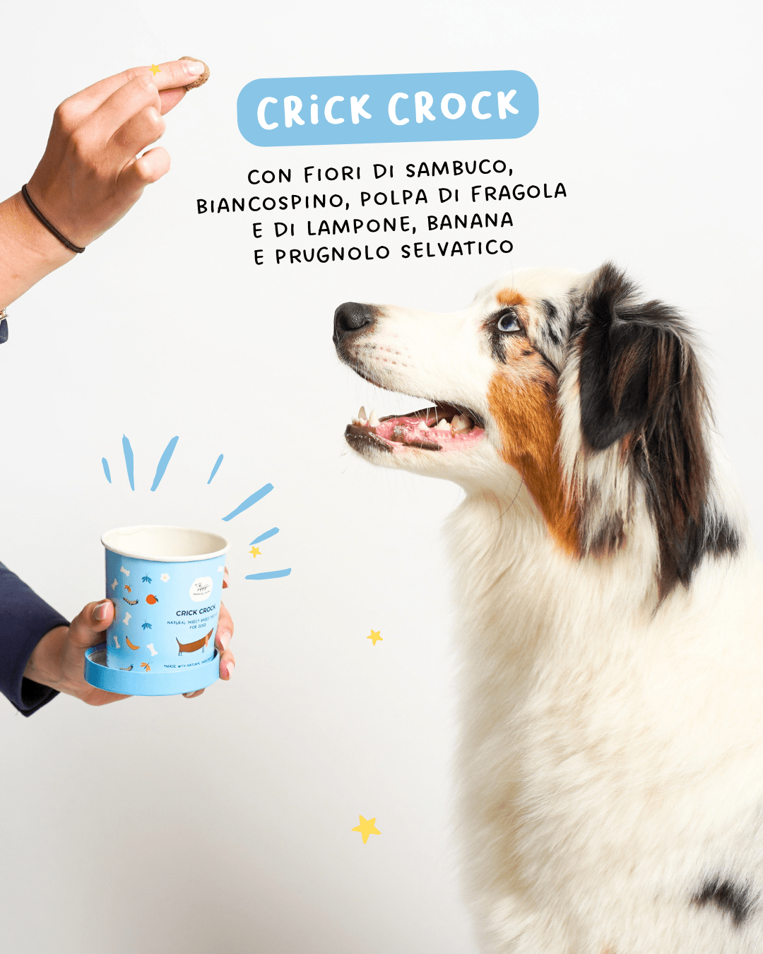 Crick Crock - Snack e Biscotti Cane - Hygge Pet Food