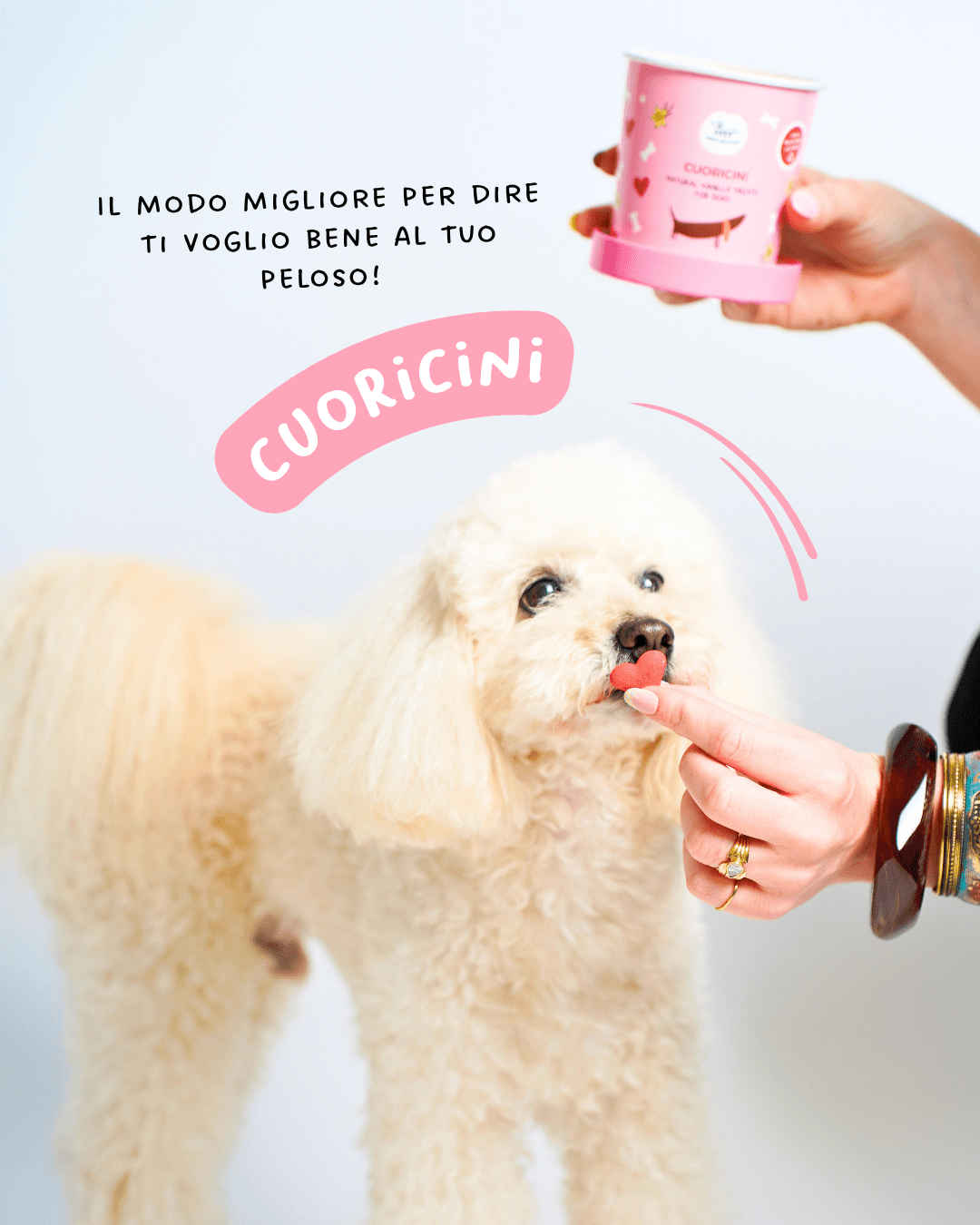 Cuoricini - Snack e Biscotti Cane - Hygge Pet Food