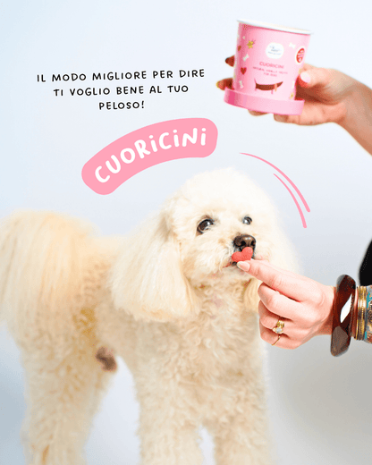 Cuoricini - Snack e Biscotti Cane - Hygge Pet Food
