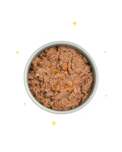 Detox Post Vacanze - Tonno in crosta - Cibo Umido Cane - Hygge Pet Food