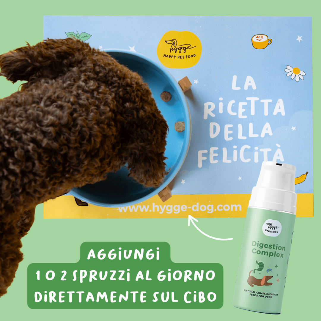 Digestion Complex - Integratori Cane - Hygge Pet Food