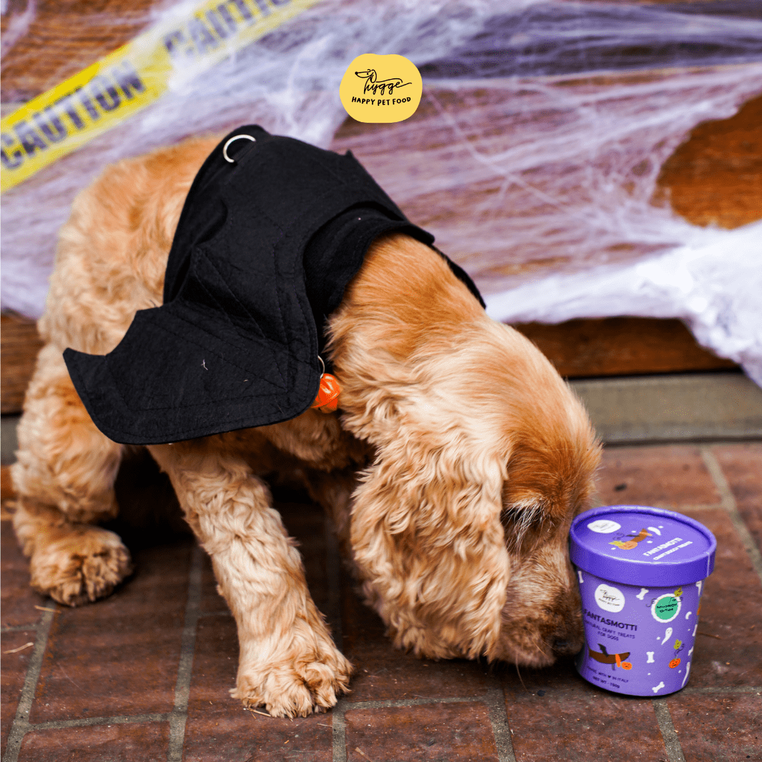 Fantasmotti - Snack e Biscotti Cane - Hygge Pet Food