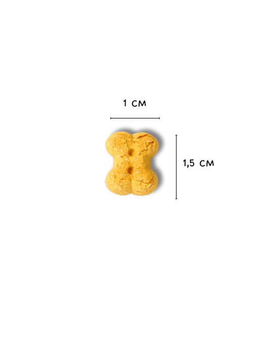 Fantasmotti - Snack e Biscotti Cane - Hygge Pet Food