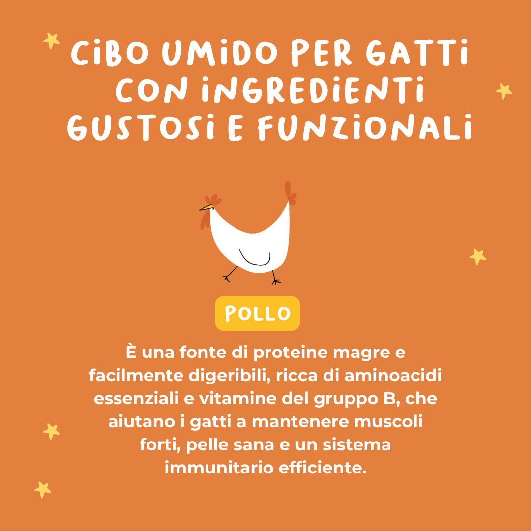 Filetti di Pollo Alimento completo per gatti adulti - Cibo Umido Gatto - Hygge Pet Food