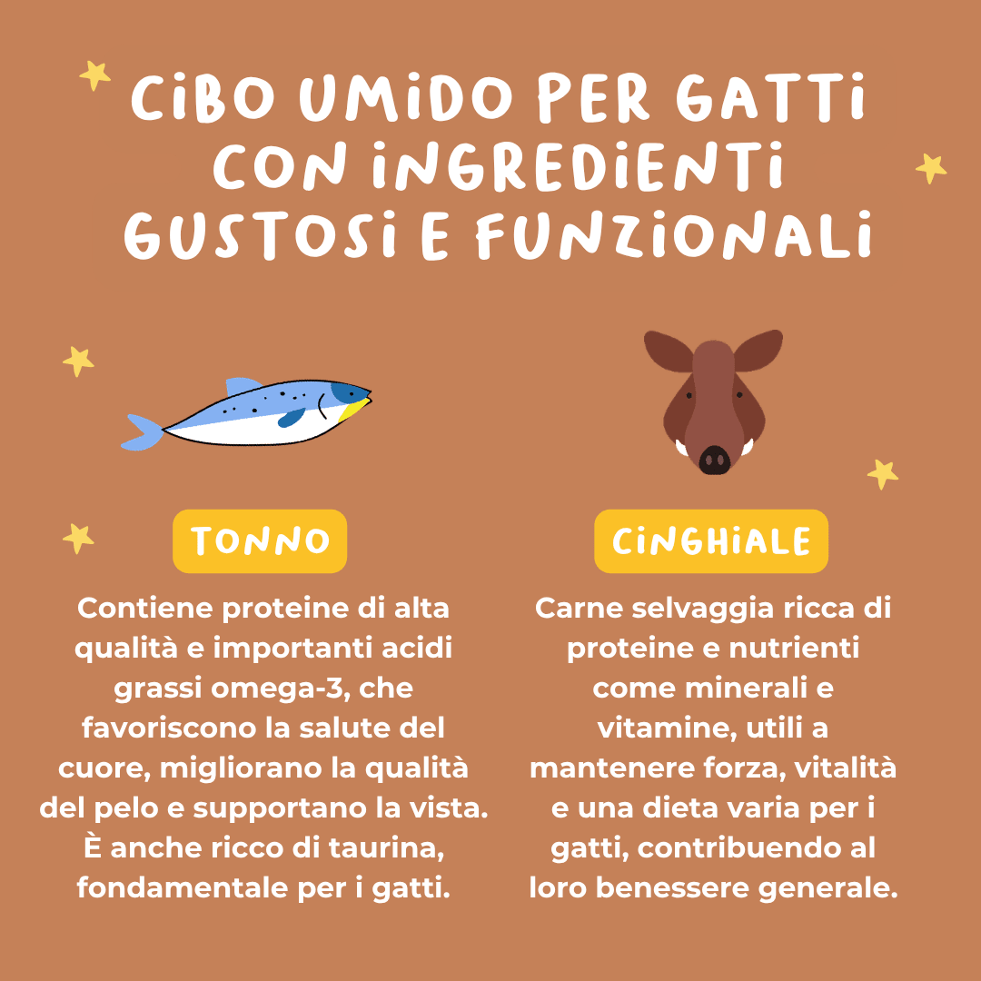 Filetti di Tonno e Cinghiale Alimento completo per gatti - Cibo Umido Gatto - Hygge Pet Food