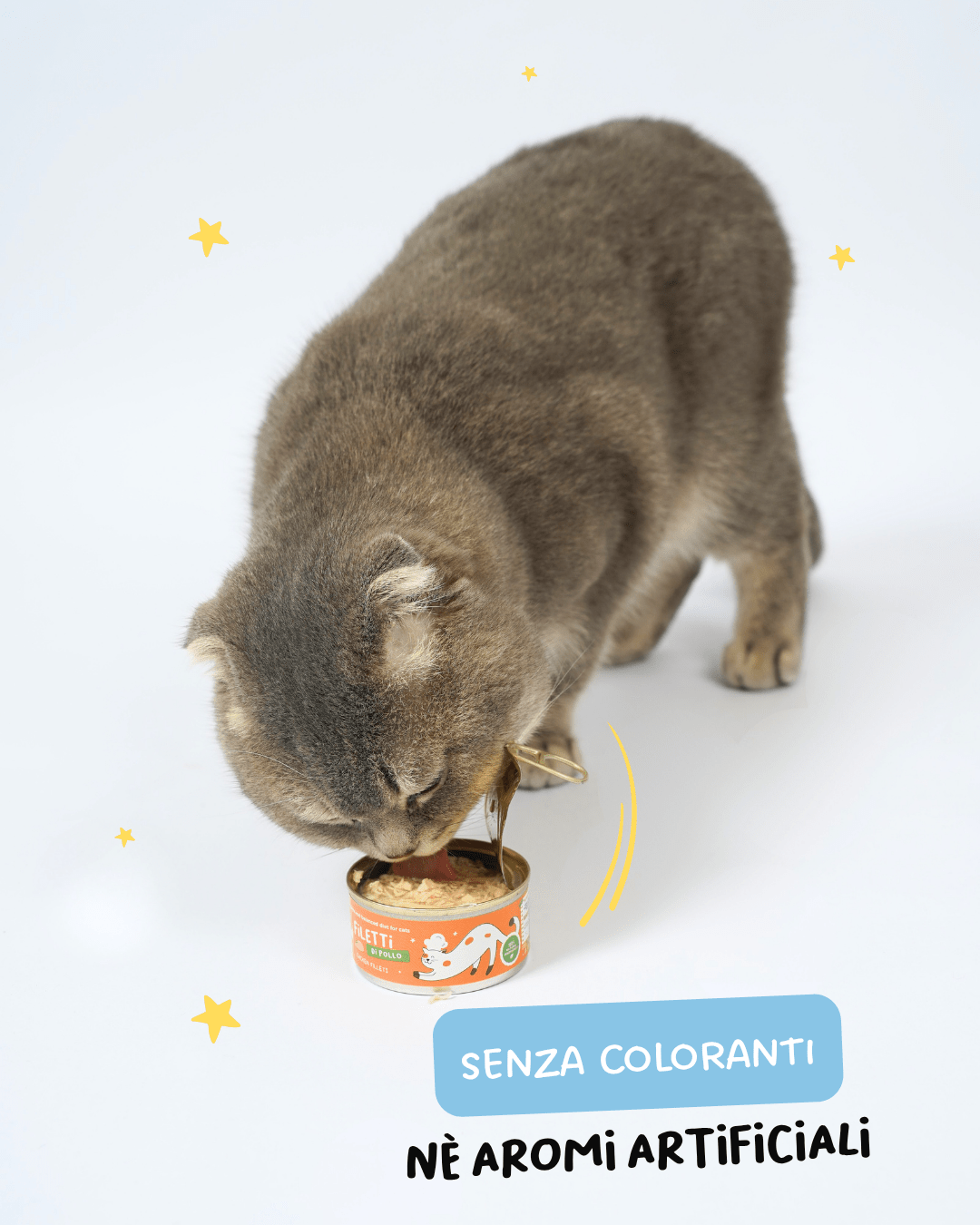 Filetti di Tonno e Cinghiale Alimento completo per gatti - Cibo Umido Gatto - Hygge Pet Food