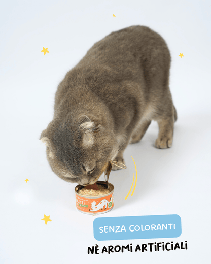 Filetti di Tonno e Cinghiale Alimento completo per gatti - Cibo Umido Gatto - Hygge Pet Food