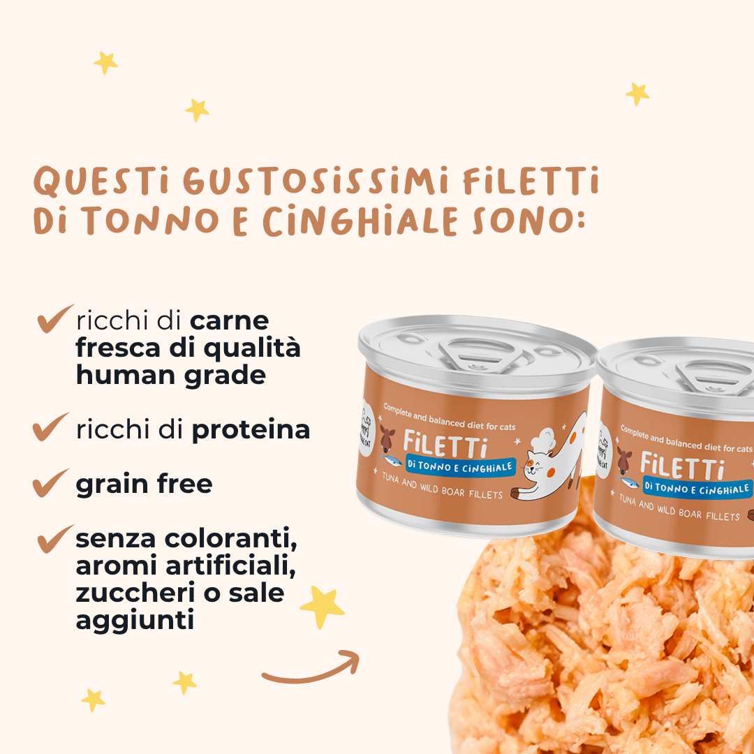Filetti di Tonno e Cinghiale Alimento completo per gatti - Cibo Umido Gatto - Hygge Pet Food