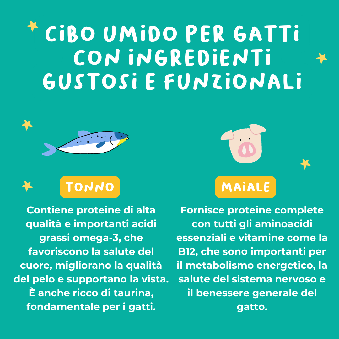 Filetti di Tonno e Maiale Alimento completo per gatti - Cibo Umido Gatto - Hygge Pet Food