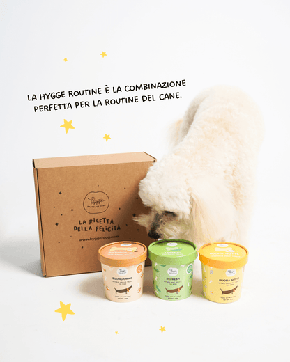 Hygge Box Viaggio - Kit Prova Cane - Hygge Pet Food