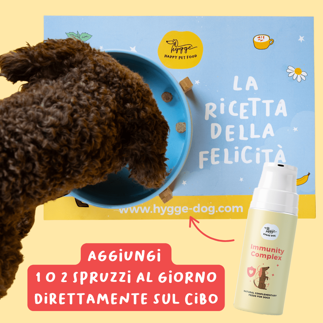 Immunity Complex - Integratori Cane - Hygge Pet Food