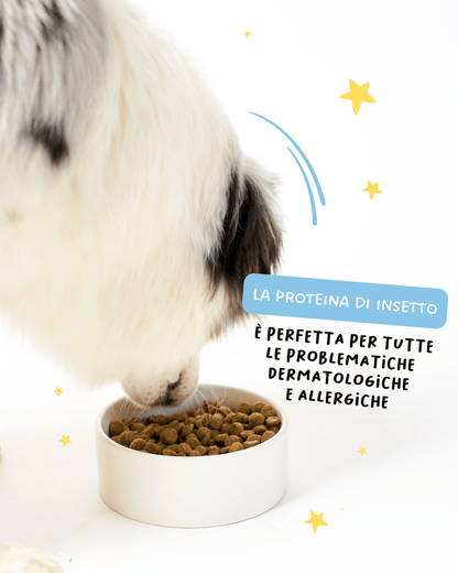 Insect based sensitive - Cibo Secco Cane - Hygge Pet Food