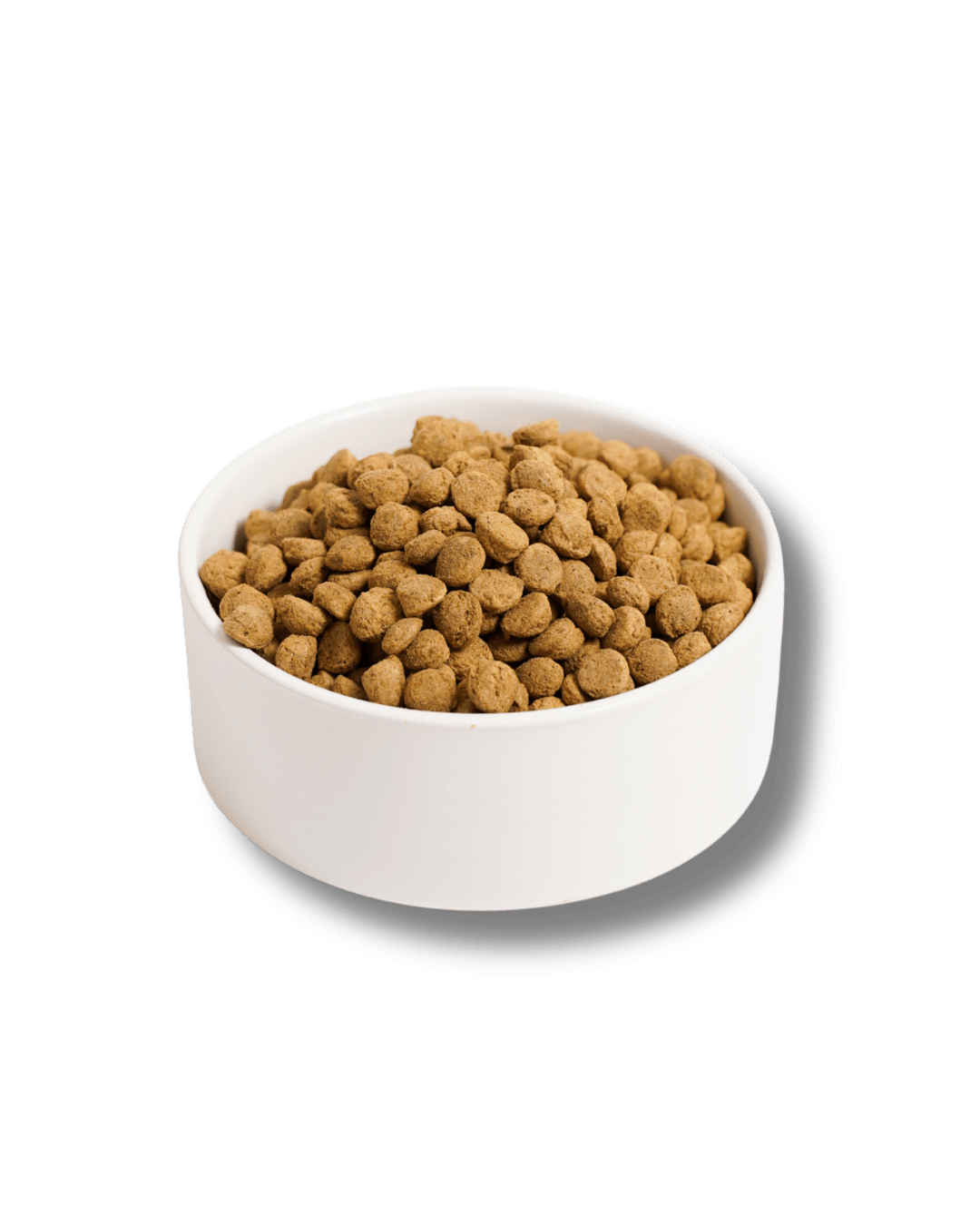 Insect based sensitive - Cibo Secco Cane - Hygge Pet Food