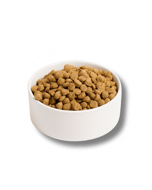 Insect based sensitive - Cibo Secco Cane - Hygge Pet Food