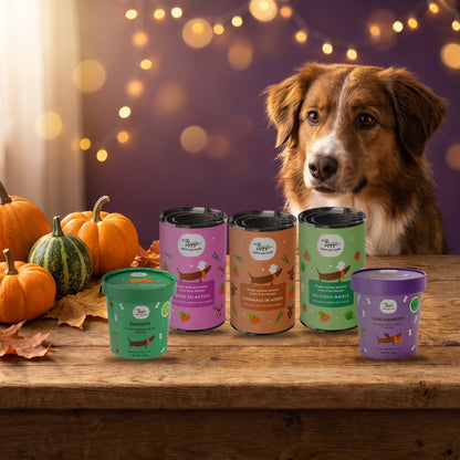 La Box delle Zucche - Kit Prova Cane - Hygge Pet Food