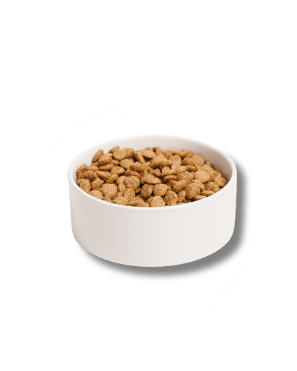 Maiale midi con curcuma e riso - Cibo Secco Cane - Hygge Pet Food