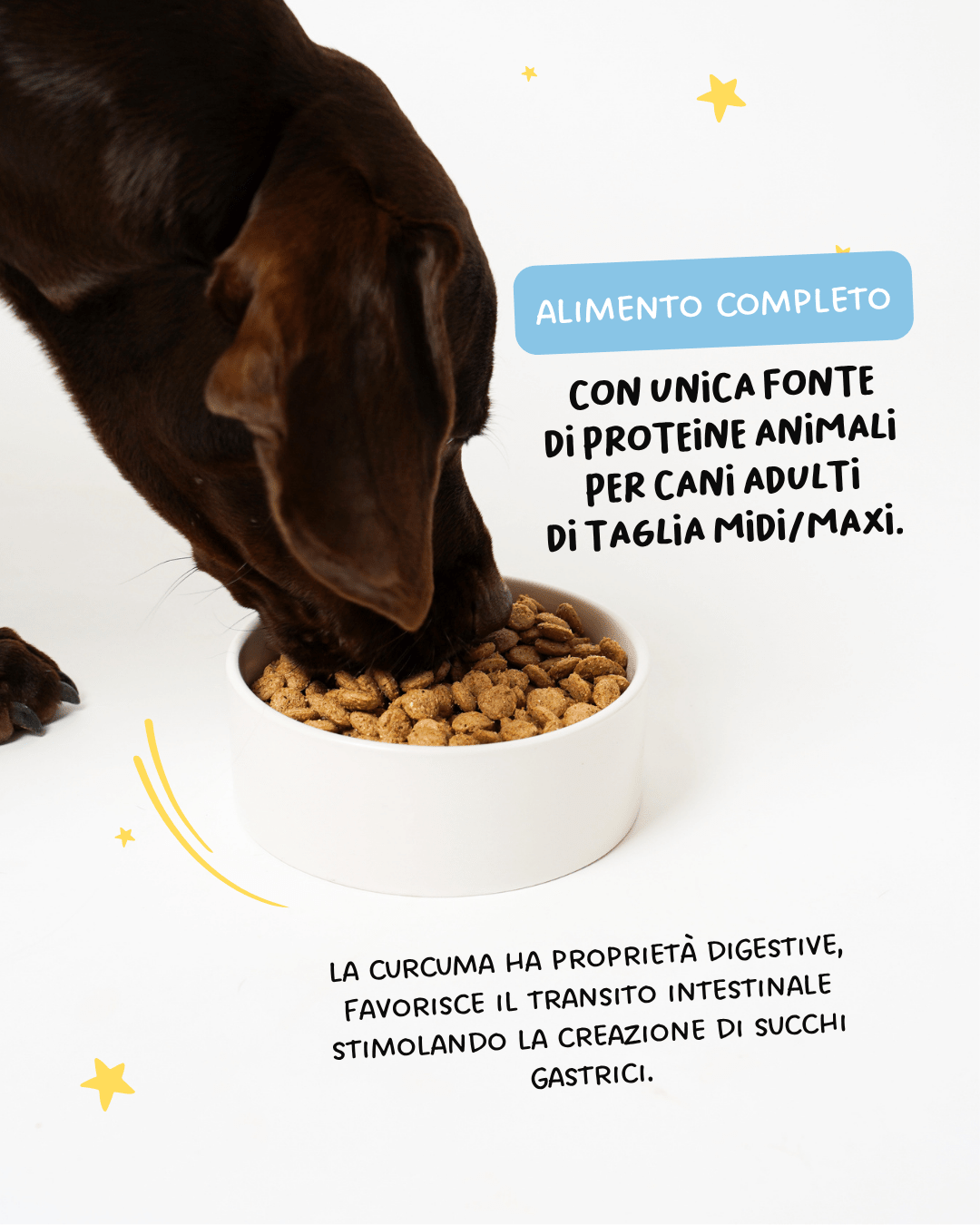 Maiale midi con curcuma e riso - Cibo Secco Cane - Hygge Pet Food