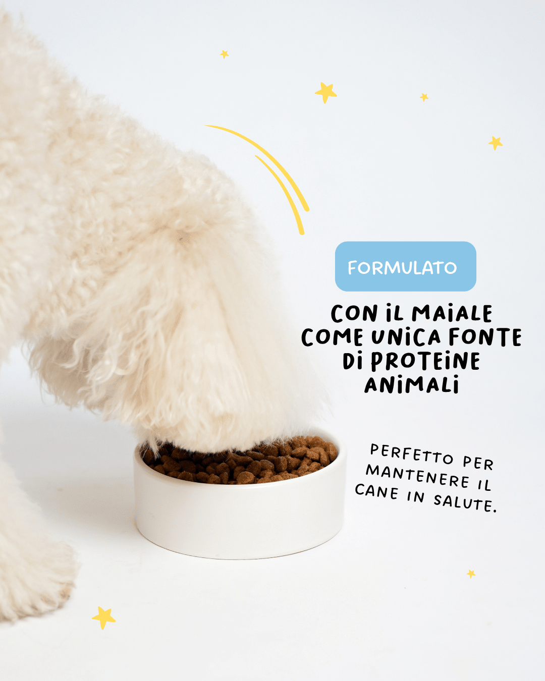Maiale mini con tapioca e riso - Cibo Secco Cane - Hygge Pet Food