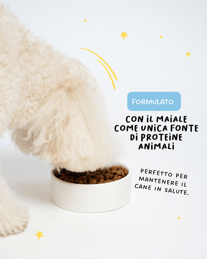 Maiale mini con tapioca e riso - Cibo Secco Cane - Hygge Pet Food