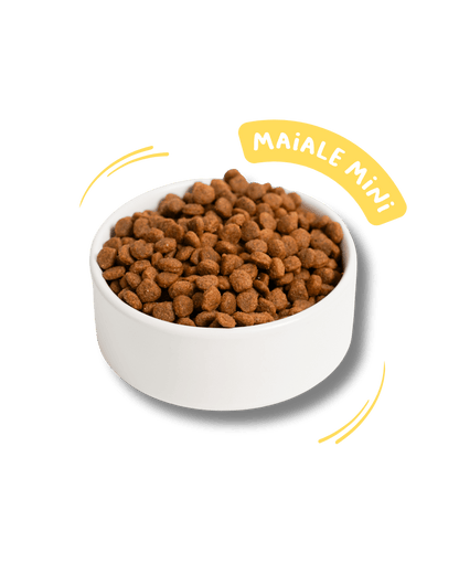 Maiale mini con tapioca e riso - Cibo Secco Cane - Hygge Pet Food