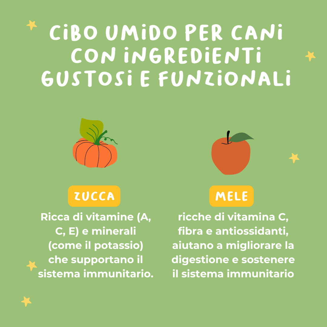 Monoproteico Delizioso maiale con zucca, mela e aloe - Cibo Umido Cane - Hygge Pet Food