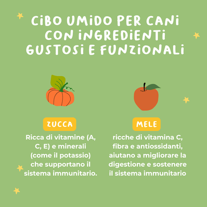 Monoproteico Delizioso maiale con zucca, mela e aloe - Cibo Umido Cane - Hygge Pet Food