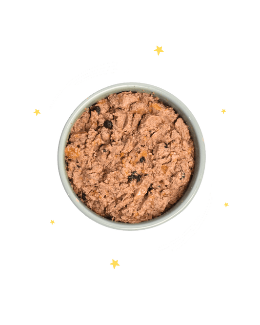 Monoproteico Gustosa Quaglia con Mirtilli e Patate Dolci - Cibo Umido Cane - Hygge Pet Food