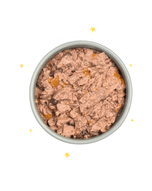 Monoproteico Prelibato tacchino con zucchine mela e mirtilli - Cibo Umido Cane - Hygge Pet Food