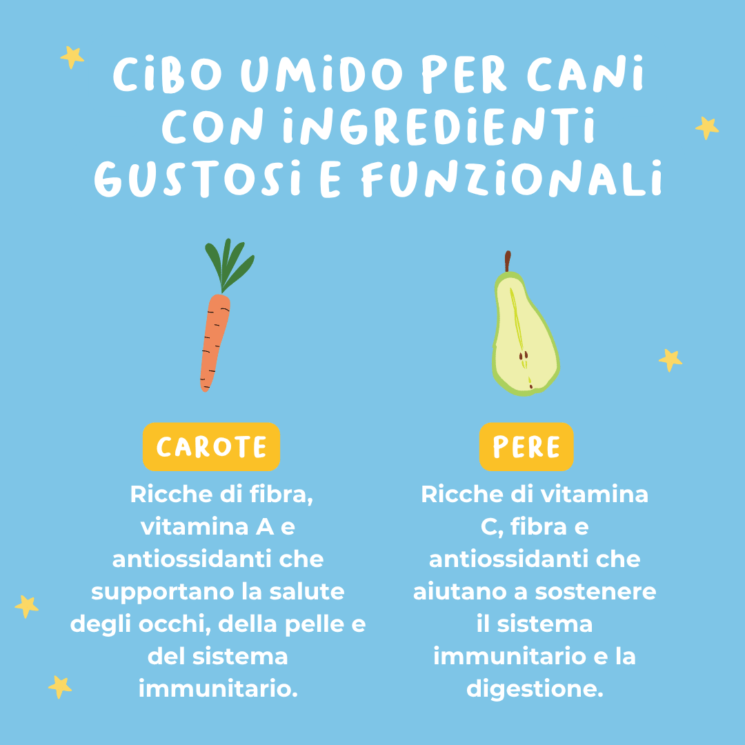 Monoproteico Saporito Salmone con carote e pere - Cibo Umido Cane - Hygge Pet Food