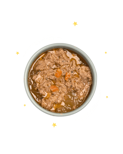 Monoproteico Saporito Salmone con carote e pere - Cibo Umido Cane - Hygge Pet Food