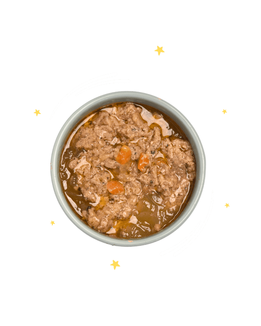 Monoproteico Saporito Salmone con carote e pere - Cibo Umido Cane - Hygge Pet Food