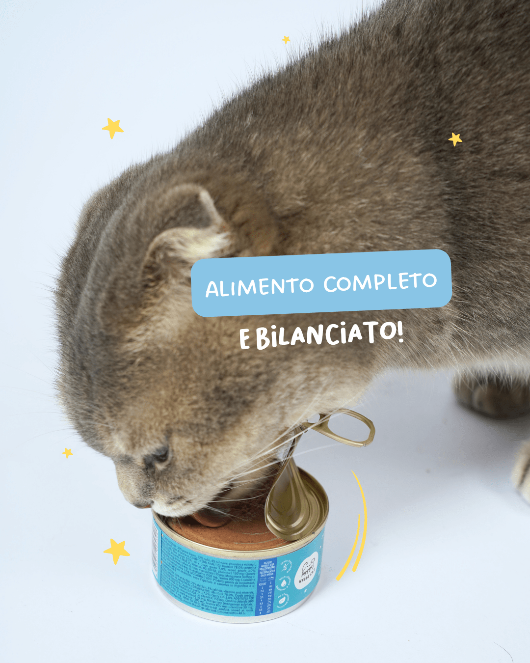 Mousse di pesce bianco - Cibo Umido Gatto - Hygge Pet Food