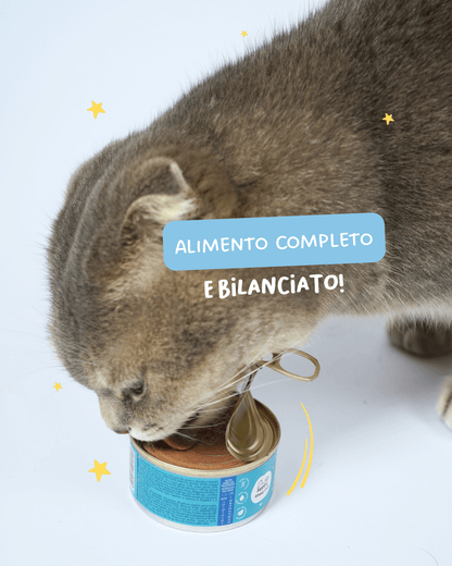 Mousse di pesce bianco - Cibo Umido Gatto - Hygge Pet Food