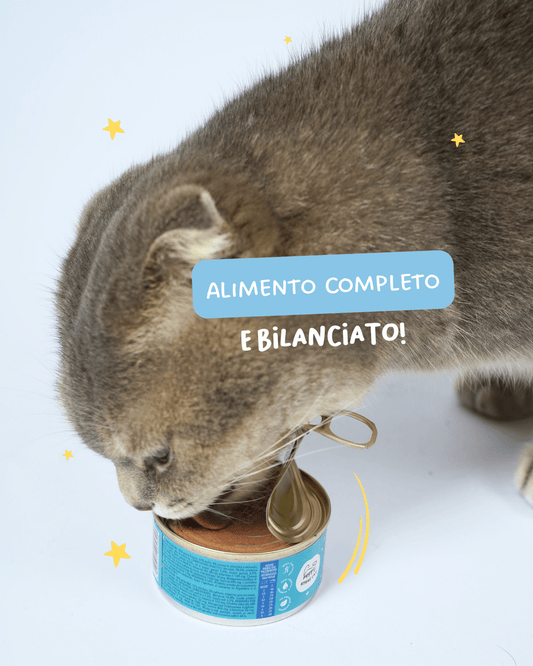 Mousse di pesce bianco - Cibo Umido Gatto - Hygge Pet Food
