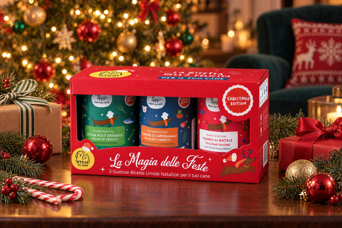 La Magia delle Feste Hygge Pet Food sul tavolino davanti all'albero di Natale